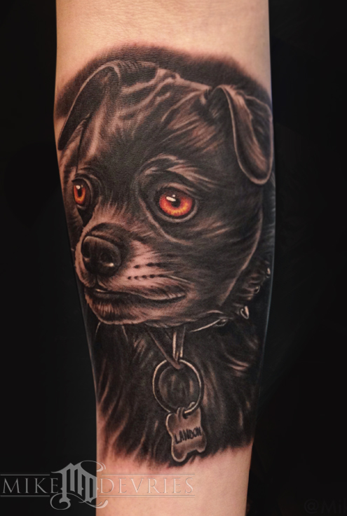 Tattoos - Labrador Pub Mix Tattoo - 86841